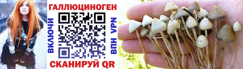 Галлюциногенные грибы Cubensis  что такое наркотик  Бавлы 