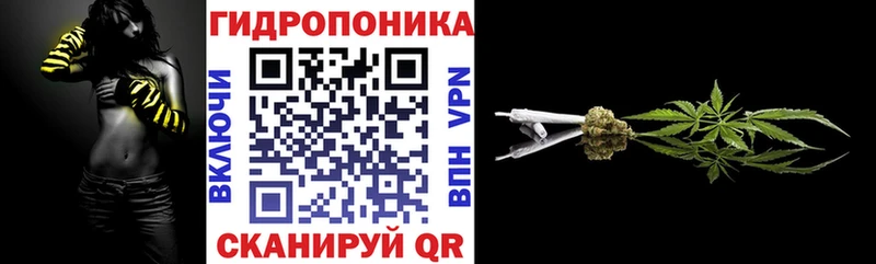 цена Бавлы Марихуана VHQ
